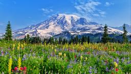 Mount Rainier National Park: житло в оренду