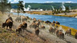 Yellowstone National Park: житло в оренду