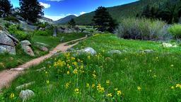 Rocky Mountain National Park: житло в оренду