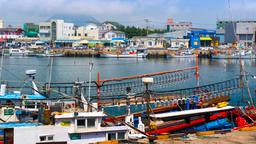 Jeju-do: житло в оренду